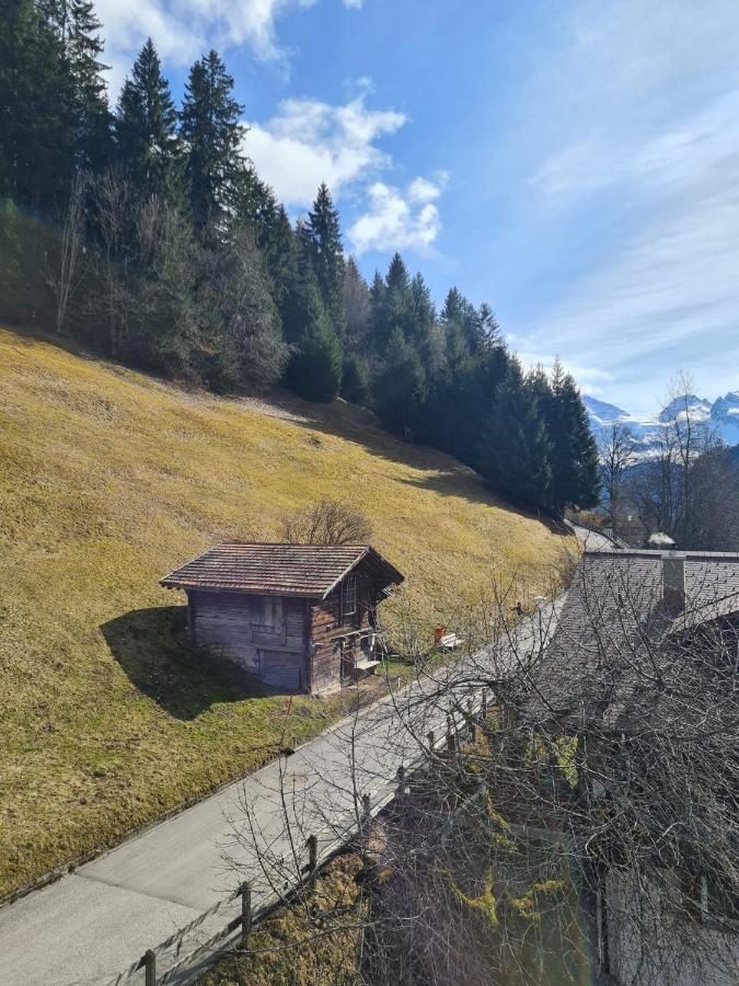 Traditional Chalet In Wengen - Top Floor Daire Dış mekan fotoğraf