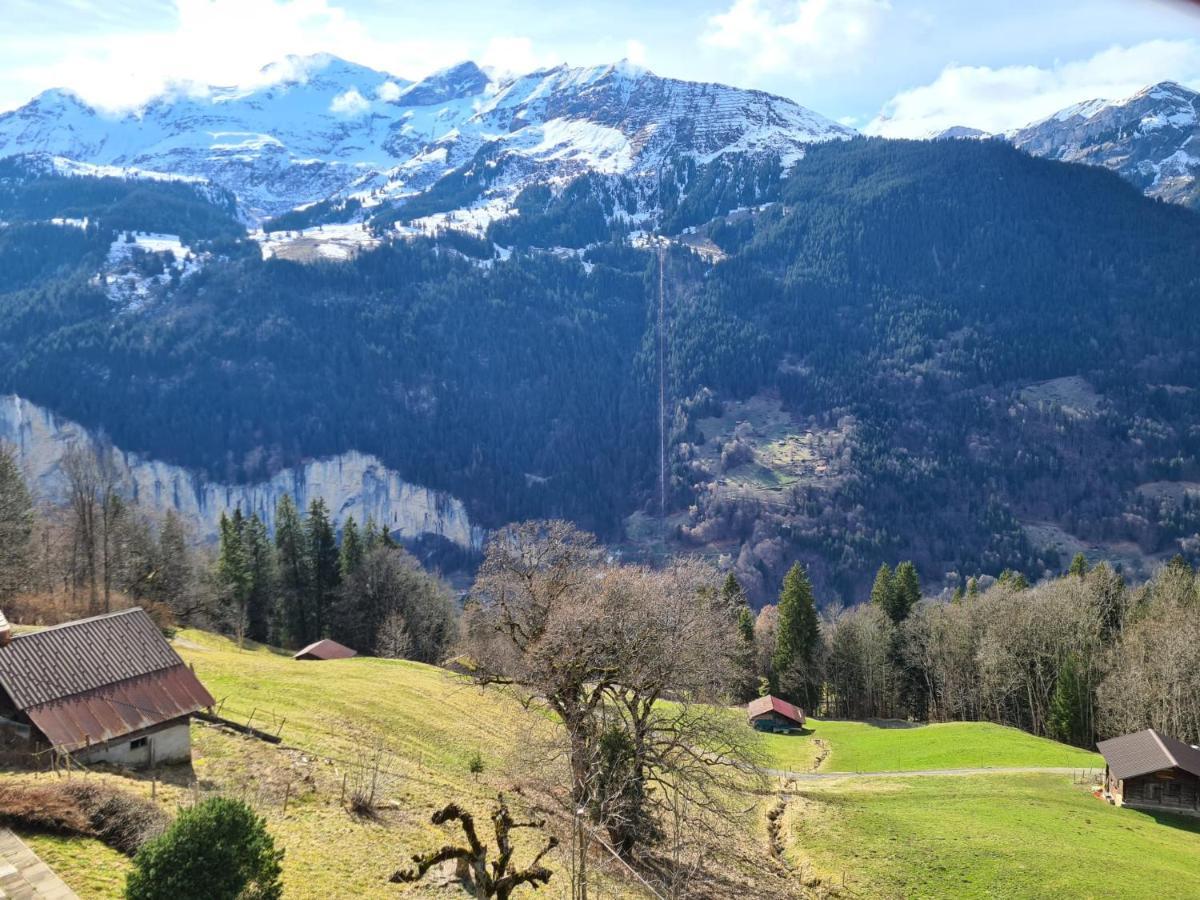 Traditional Chalet In Wengen - Top Floor Daire Dış mekan fotoğraf