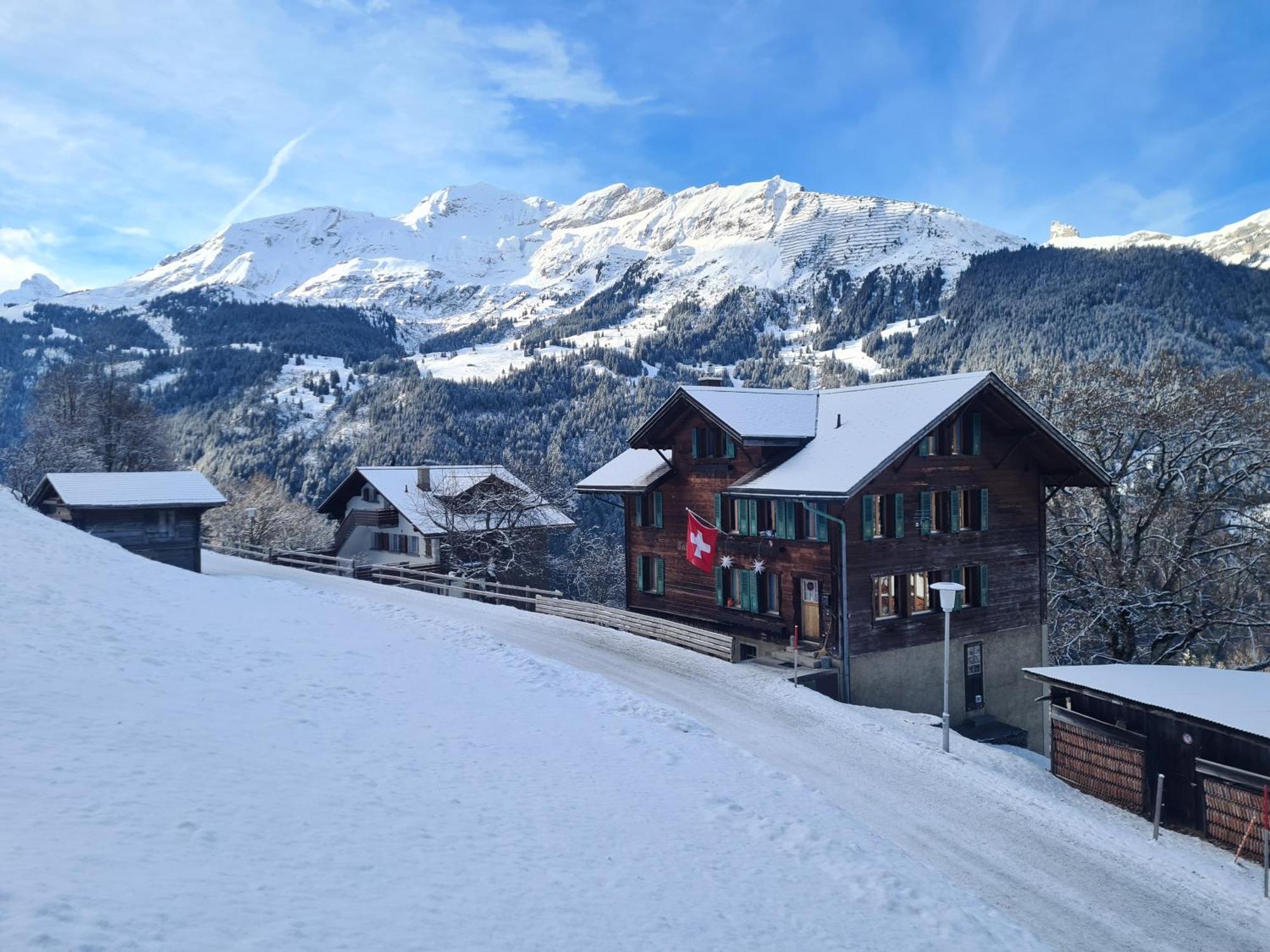 Traditional Chalet In Wengen - Top Floor Daire Dış mekan fotoğraf