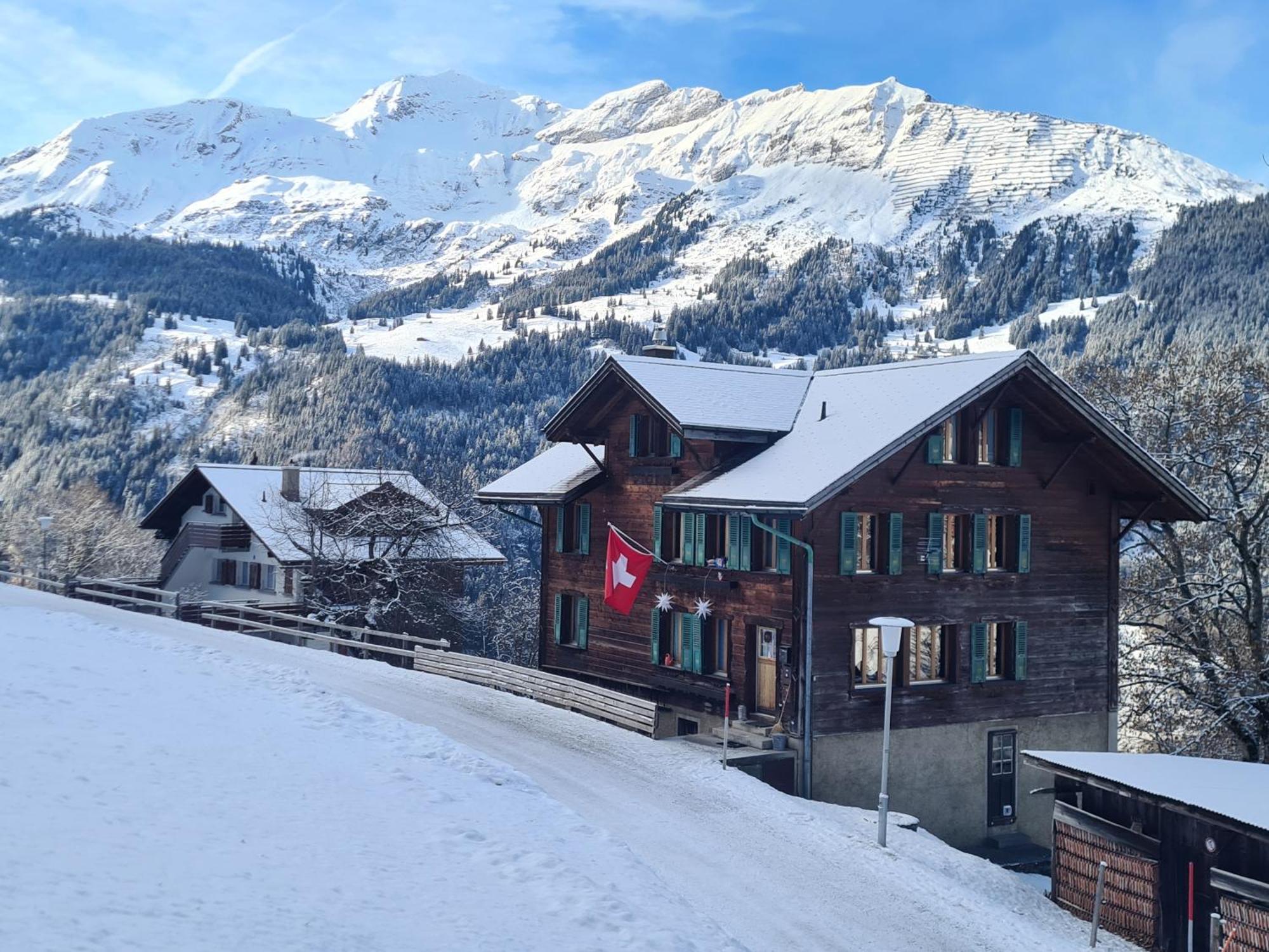 Traditional Chalet In Wengen - Top Floor Daire Dış mekan fotoğraf